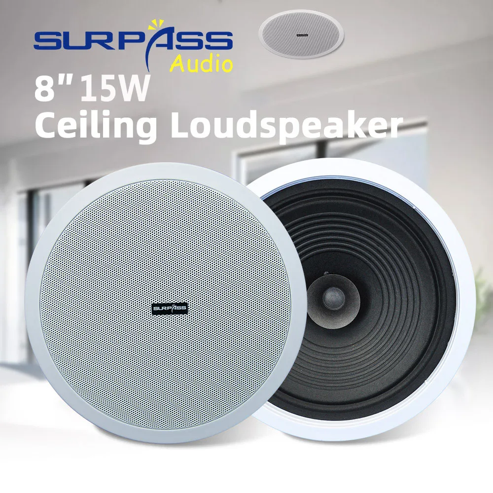 Home Audio Sound System 8inch  - Audio Music Background Free 评论和价格