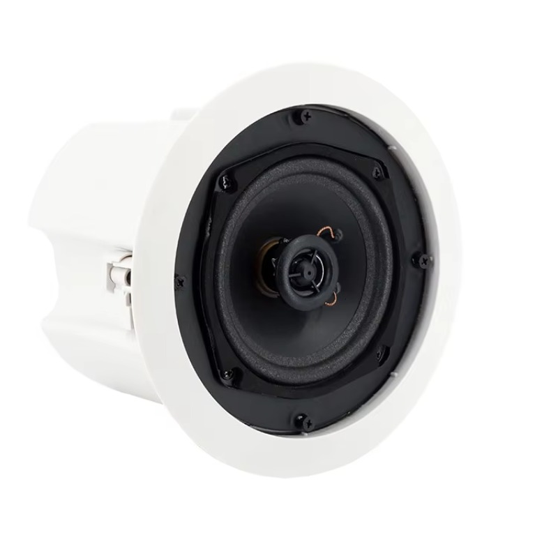 Waterproof WiFi Bluetooth Ceil - Audio Music Background Free 评论和价格