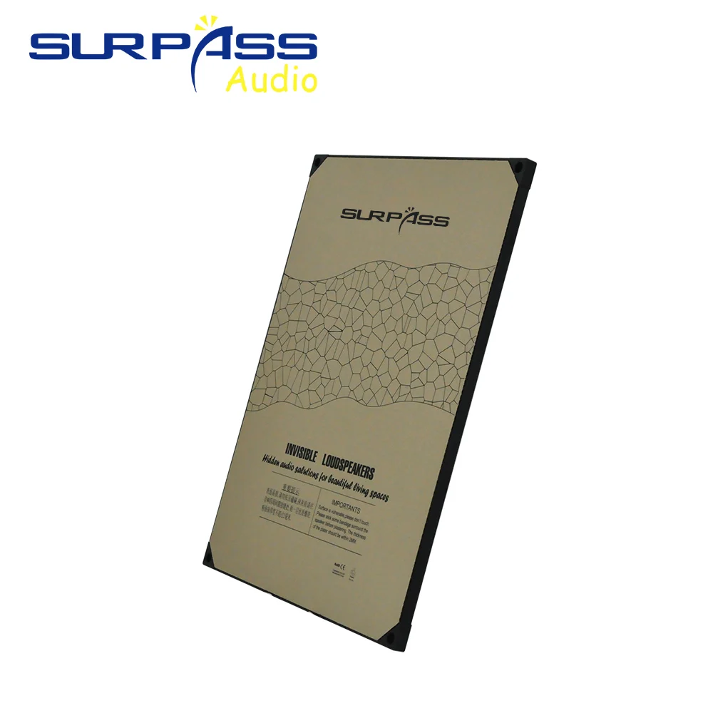 20W Invisible Indoor Speaker R - Audio Music Background Free 评论和价格